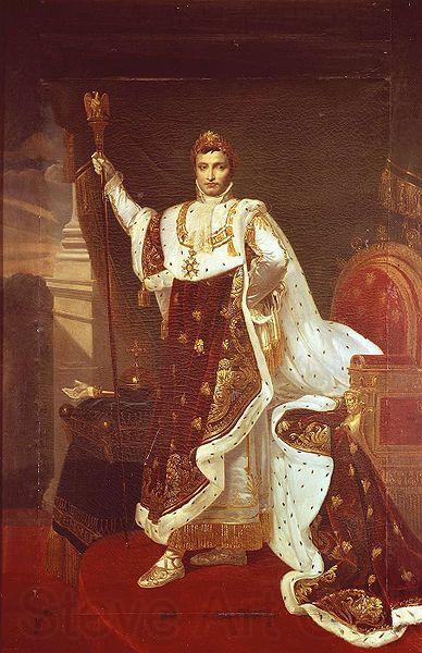 Robert Lefevre Portrait of Napoleon I in Coronation Robes Norge oil painting art